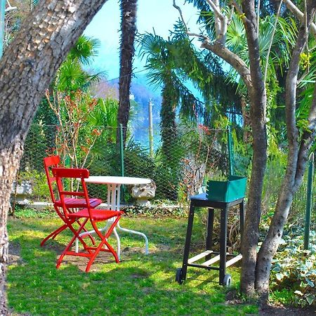Apartment The Palm With Garden Sala Comacina Exterior photo